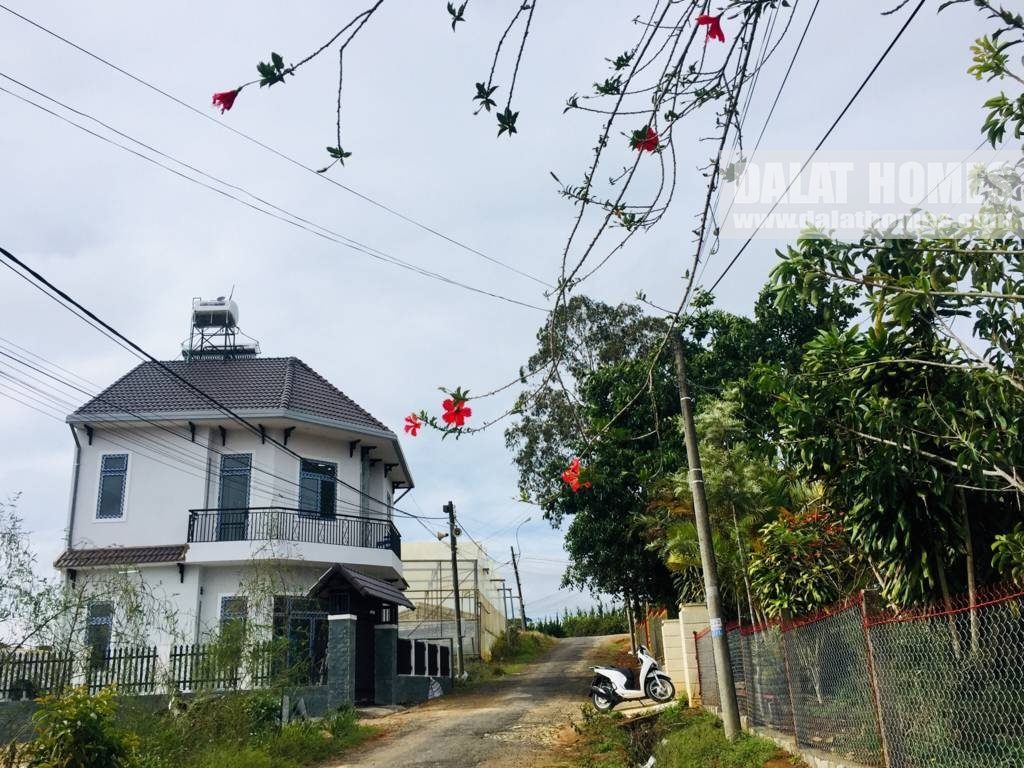Đất biệt thự Nam Hồ Đà Lạt, đường nhựa view rất đẹp
