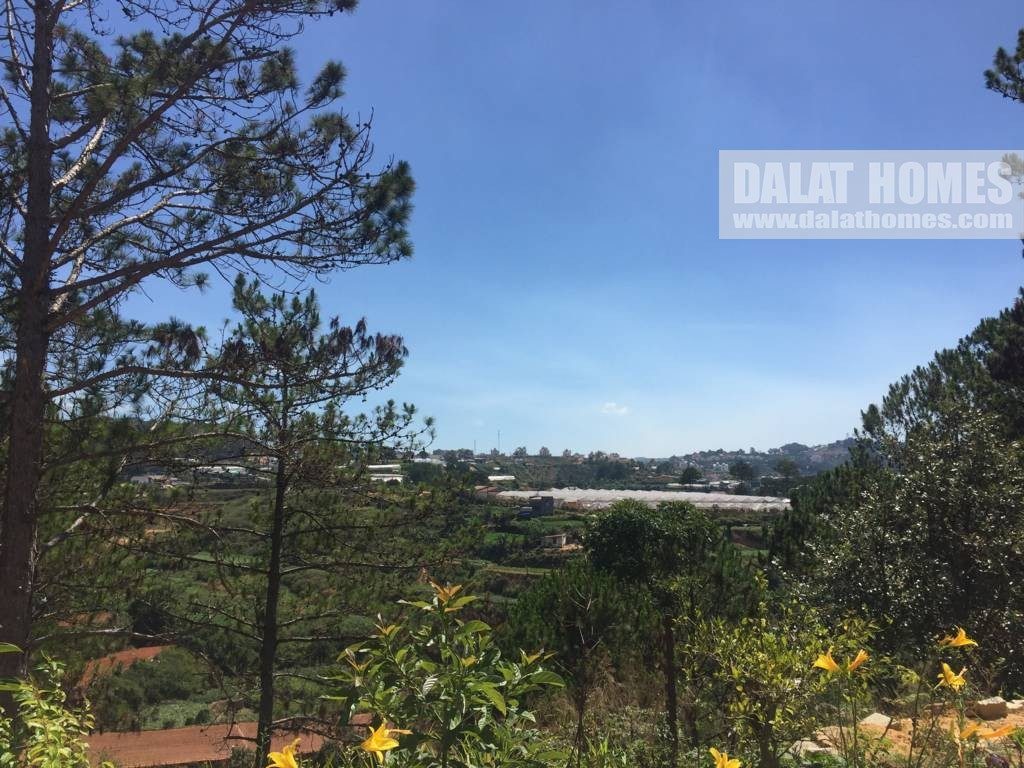 Đất biệt thự KQH An Sơn, view đẹp giá rẻ