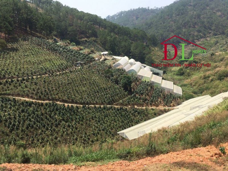 Bán lô đất Hùng Vương, P11 Đà Lạt view tuyệt đẹp