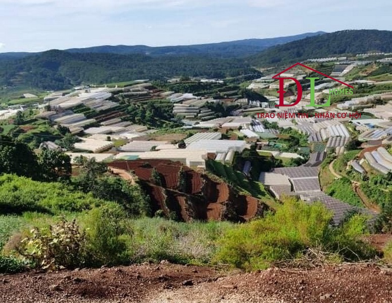 HẠ GIÁ Bán đất Tự Phước Phường 11 Đà Lạt 265m2 view đẹp