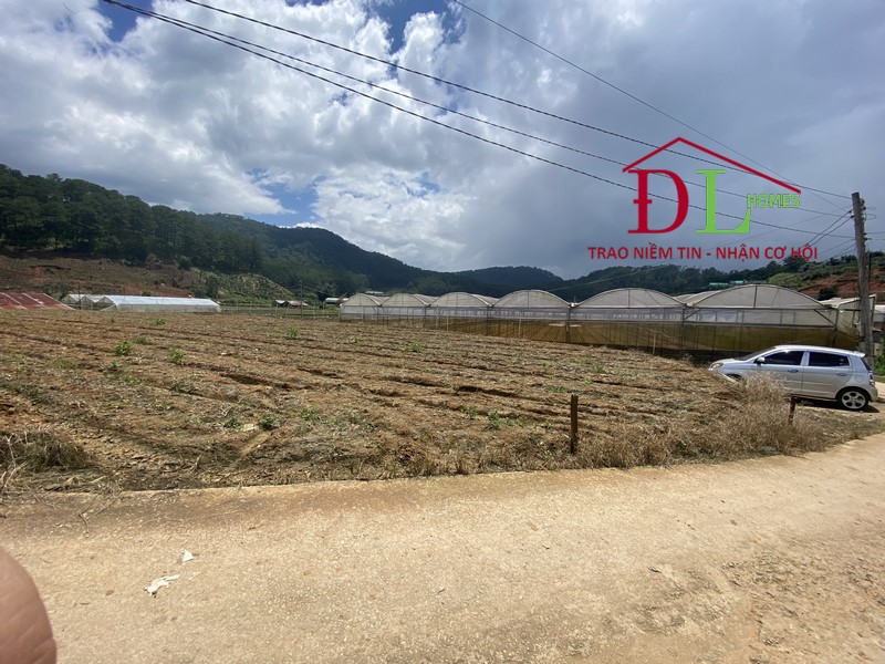 Bán đất nông nghiệp Sở Lăng Đà Lạt 7340m2 thích hợp đầu tư lâu dài