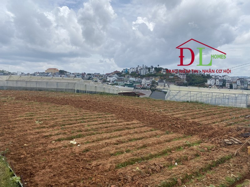 Bán đất Cao Thắng Tp Đà Lạt 1178m2 thích hợp đầu tư
