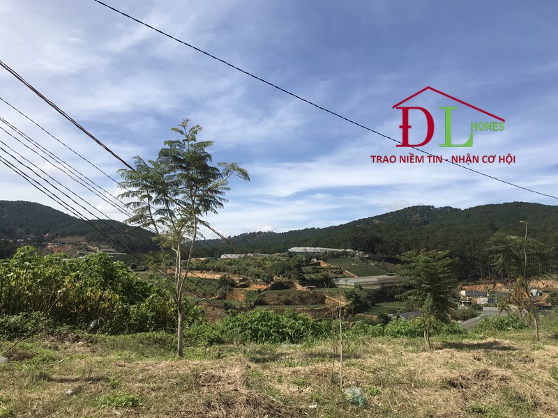 Bán đất  An Sơn phường 4 Đà Lạt 3550m2 đầu tư lâu dài