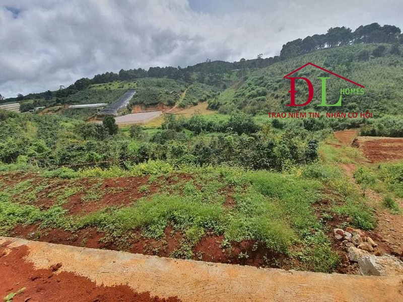 Bán đất Xuân Thọ Đà Lạt 2924m2 đầu tư lâu dài