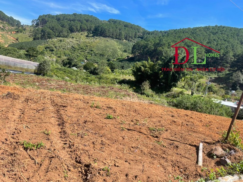 Bán đất Tà Nung Đà Lạt 1000m2 thích hợp đầu tư