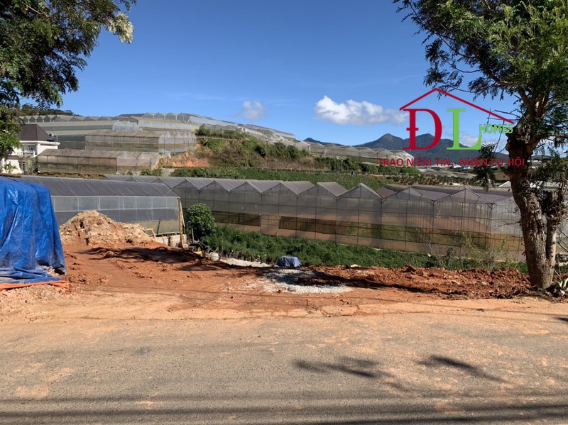 Bán đất mặt tiền Đa Phú Đà Lạt 544m2 view thung lũng
