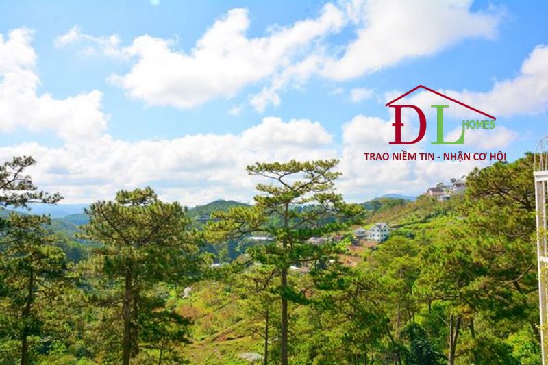 Bán Cafe view siêu hot Đặng Thái ThânĐà Lạt view rừng thông 2283m2