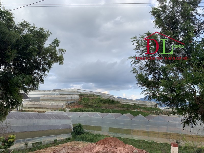 Bán đất mặt tiền Đa Phú phường 7 Đà Lạt 549m2 view thung lũng