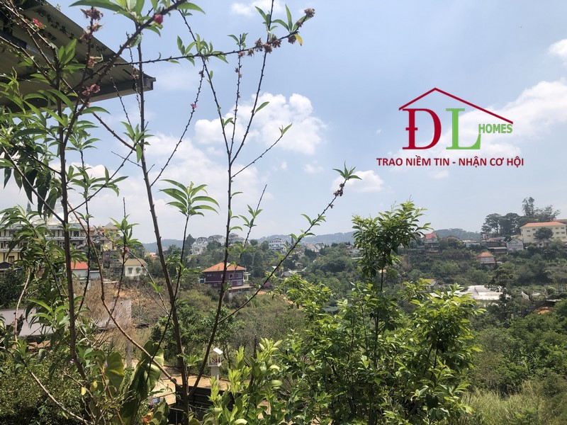 Bán đất Khe Sanh Đà Lạt 3686m2 view thung lũng