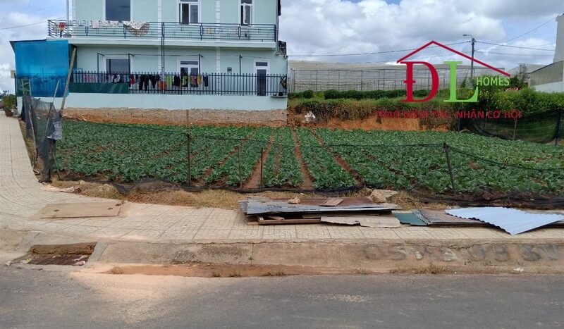Bán đất hai mặt tiền KQH Nguyễn Hữu Cầu P12 Đà Lạt thích hợp nghỉ dưỡng.