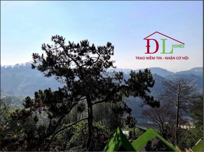 Bán đất nghỉ dưỡng Khởi Nghĩa Bắc Sơn Đà Lạt 1462m2 view thung lũng
