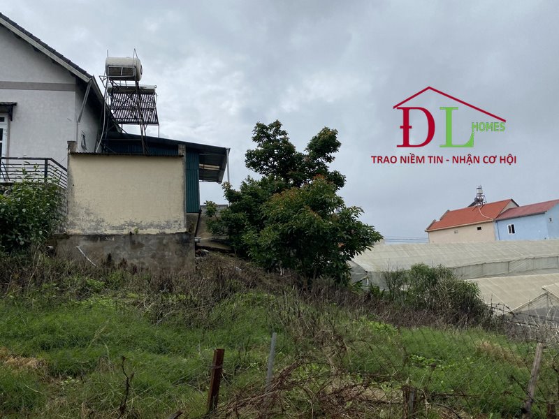 Bán đất Trần Đại Nghĩa 300m2 Đà Lat Lạt an cư lạc nghiệp