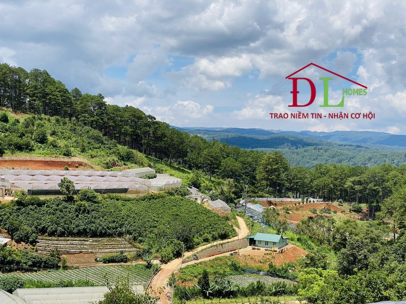 Bán đất Khe Sanh Đà Lạt 6126m2 view thung lũng