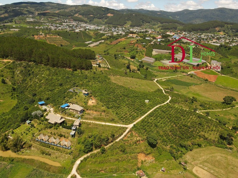 HẠ GIÁ Bán đất Tà Nung Đà Lạt 5000m2 thích hợp đầu tư lâu dài