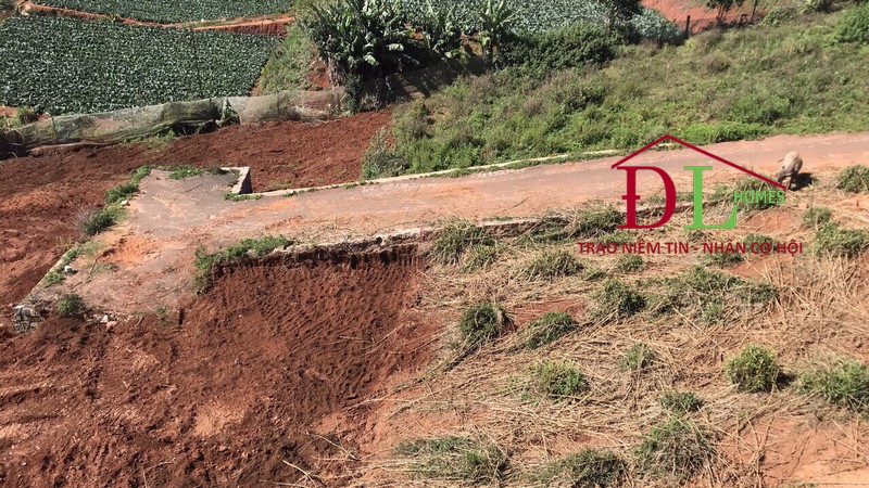 Bán đất Măng Lin Đà Lạt 200m2 thích hợp an cư nghỉ dưỡng.