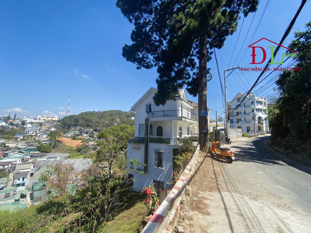 Bán đất mặt tiền Đặng Thái Thân Đà Lạt 2429m2 view thung lũng đẹp
