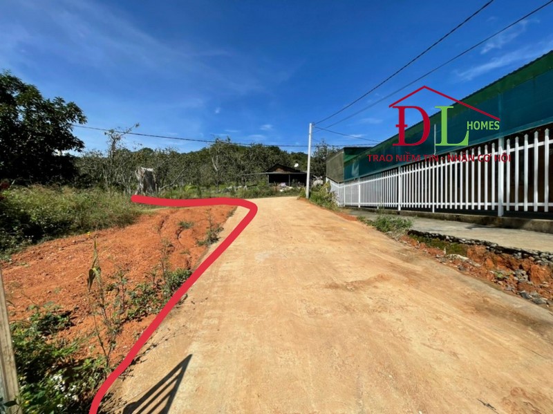 Bán Đất Mimosa, phường 10, Đà Lạt 517m2 đầu tư lâu dài