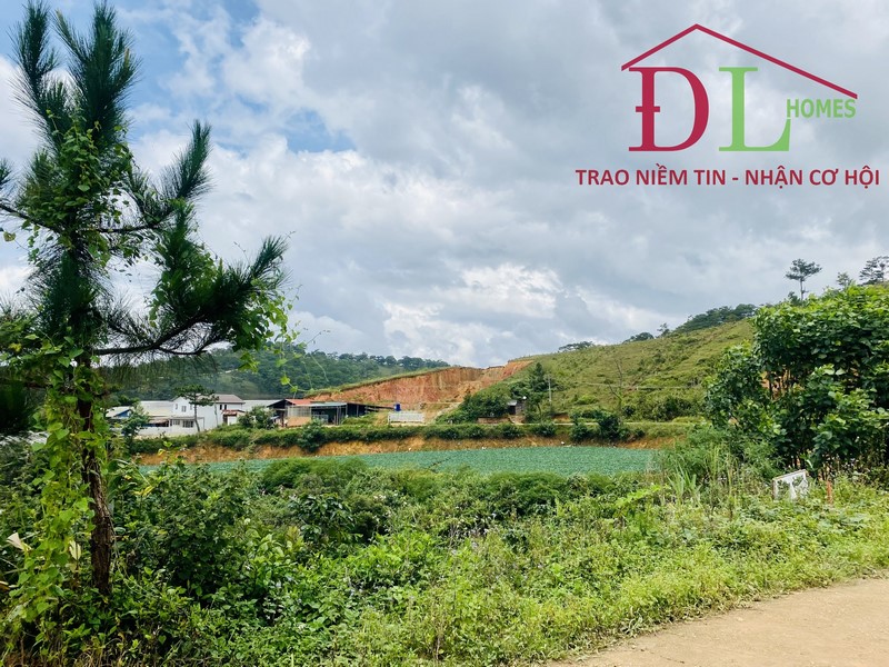 Bán đất Măng Lin Đà Lạt 241m2 thích hợp an cư nghỉ dưỡng.