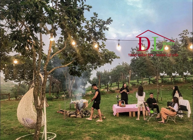 Bán đất Trạm Hành Cầu Đất 10,000m2 view đồi chè thích hợp đầu tư