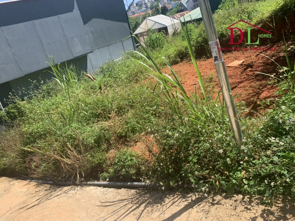 Bán đất Kim Đồng phường 6 Đà Lạt 200m2 an cư lạc nghiệp