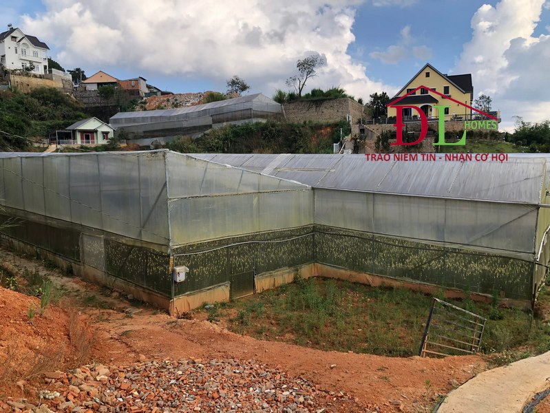 Bán đất Đống Đa Phường 3 Đà Lạt 1007m2 view thành phố.