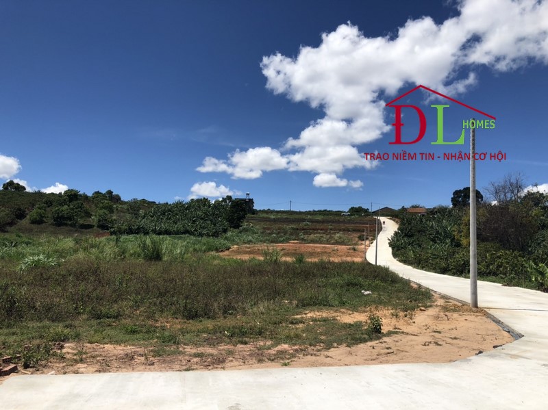 Bán đất Nam Ban Lâm Hà 12079 thích hợp đầu tư