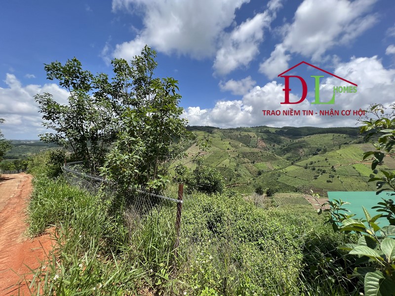 Bán đất Tà Nung Đà Lạt 1242m2 view thung lũng thích hợp đầu tư