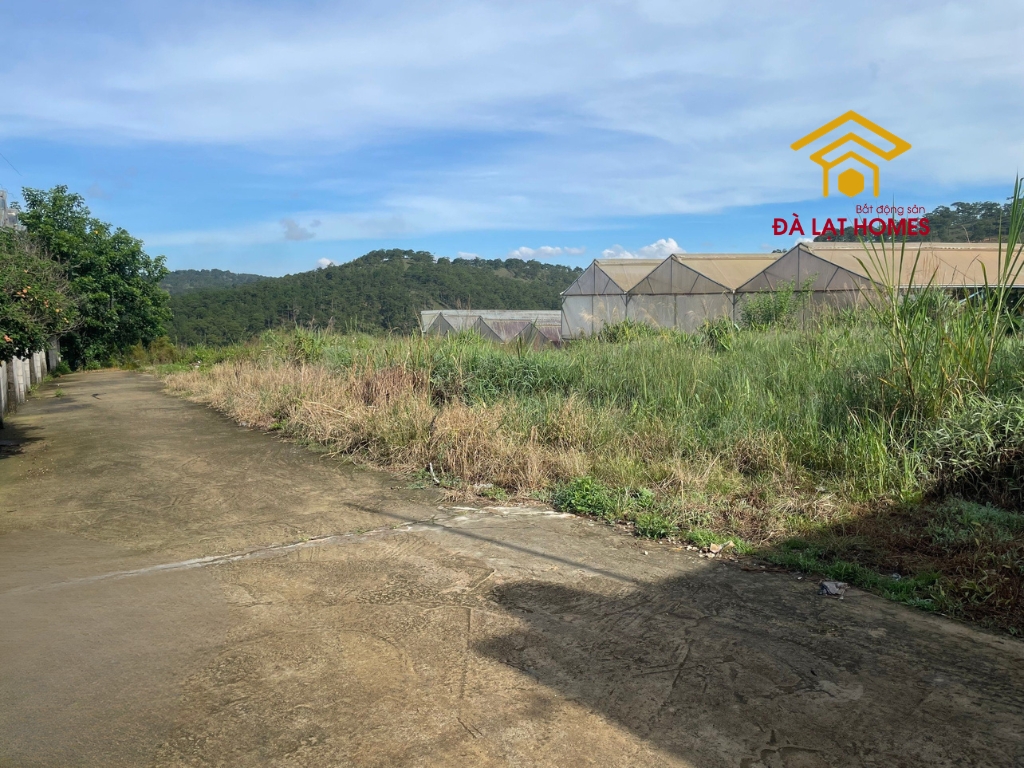 Bán đất Măng Lin Đà Lạt 205m2 view đồi thông