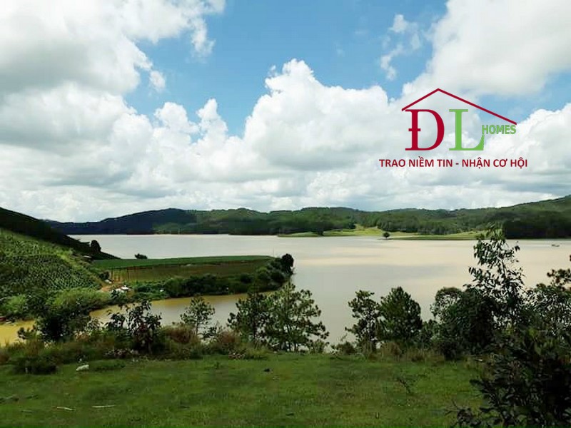 Bán đất Lạc Dương  7100m2 view hồ Suối Vàng thích hợp đầu tư