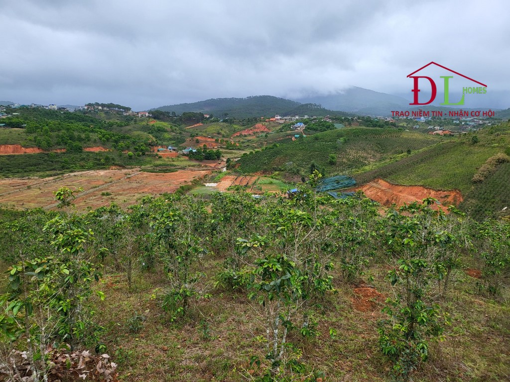 Bán đất Đạ Nhim Lạc Dương Đà Lạt 5300m2 thích hợp đầu tư kinh doanh