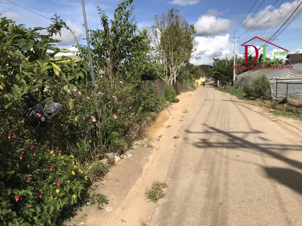 HẠ GIÁ Bán đất Quảng Thừa Đà Lạt thích hợp đầu tư lâu dài