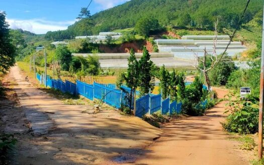 Bán đất 2 mặt tiền hẻm Măng Lin phường 7 Đà Lạt 531m2 thích hợp đầu tư trang trại