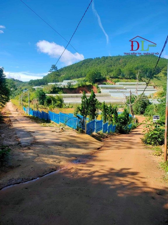 Bán đất 2 mặt tiền hẻm Măng Lin phường 7 Đà Lạt 531m2 thích hợp đầu tư trang trại
