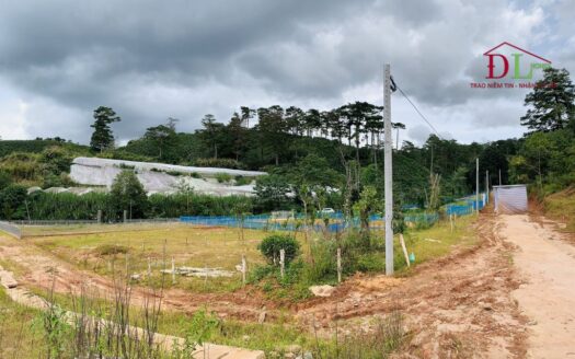 Bán đất 2 mặt tiền hẻm Măng Lin phường 7 Đà Lạt 577m2 thích hợp đầu tư trang trại