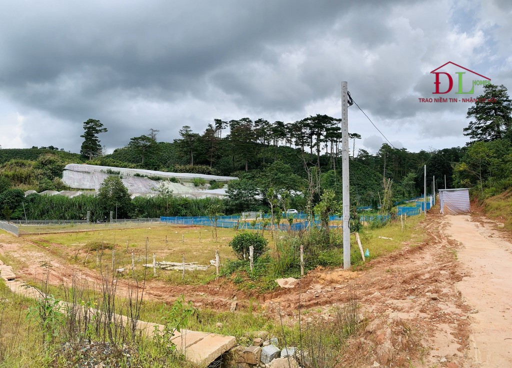 Bán đất 2 mặt tiền hẻm Măng Lin phường 7 Đà Lạt 577m2 thích hợp đầu tư trang trại