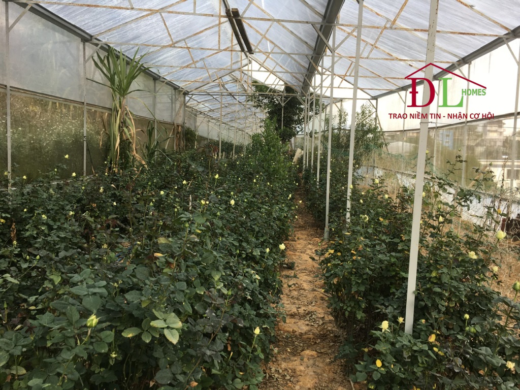 Bán đất An Sơn phường 4 Đà Lạt 200m2 đầu tư lâu dài