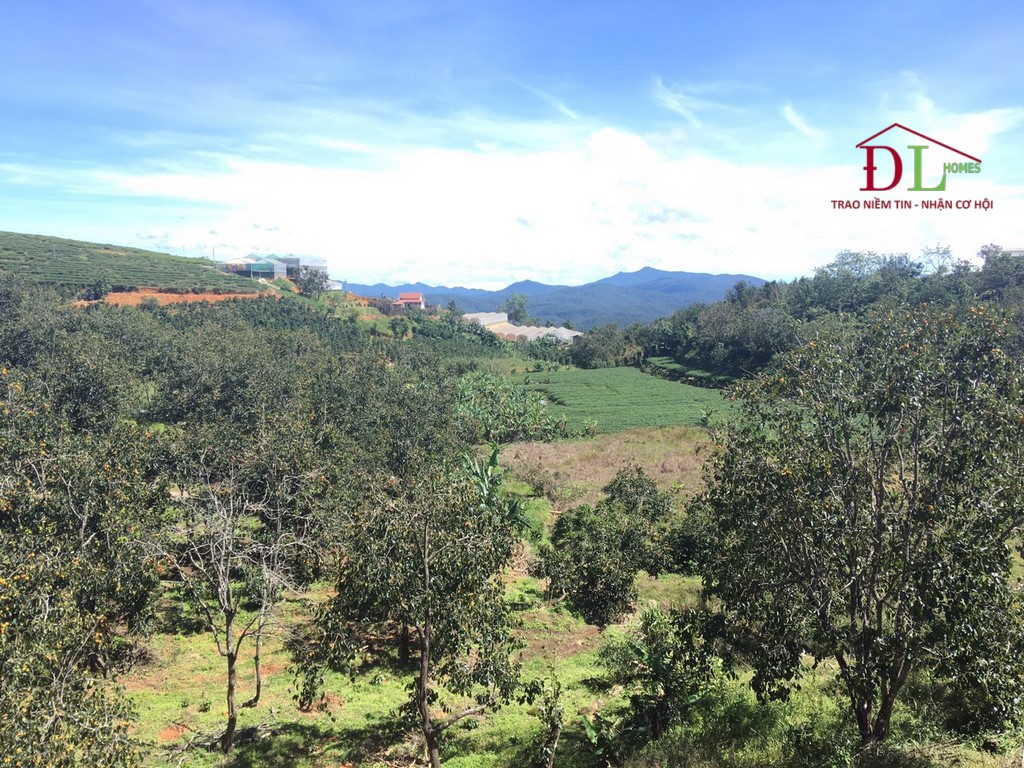 Bán đất Tà Nung Đà Lạt 1331m2 view thung lũng thích hợp đầu tư lâu dài