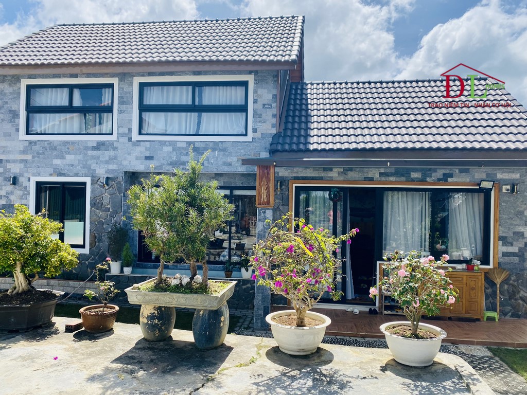 Bán đất tặng nhà Đống Đa Phường 3 Đà Lạt 716m2 thích hợp nghĩ dưỡng