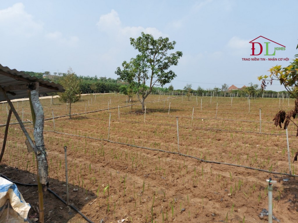 Bán đất xã Ninh Gia huyện Đức Trọng 8360m2 thích hợp đầu tư lâu dài