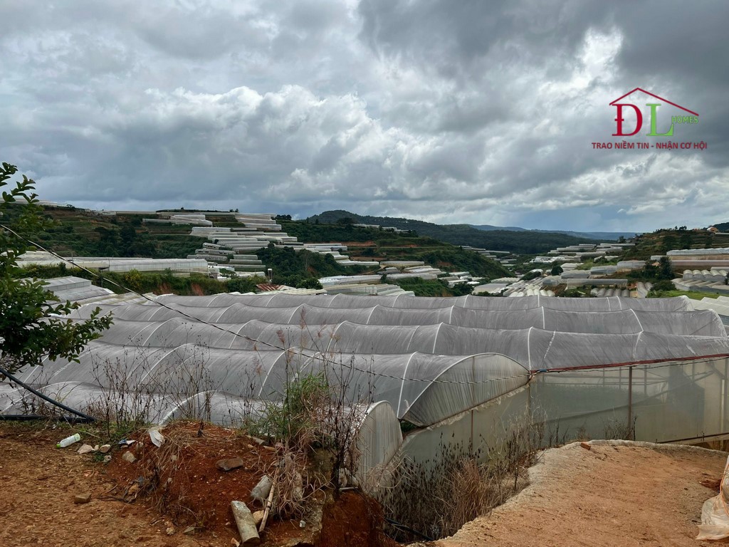 Bán đất xã Xuân Thọ Đà Lạt 2472m2 thích hợp kinh doanh trang trại
