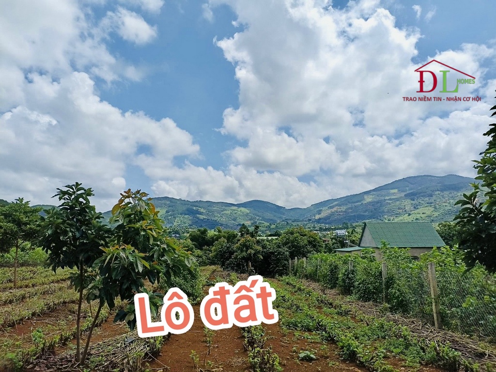 Bán đất thị trấn Nam Ban Lâm Hà 375m2 hợp đầu tư lâu dài