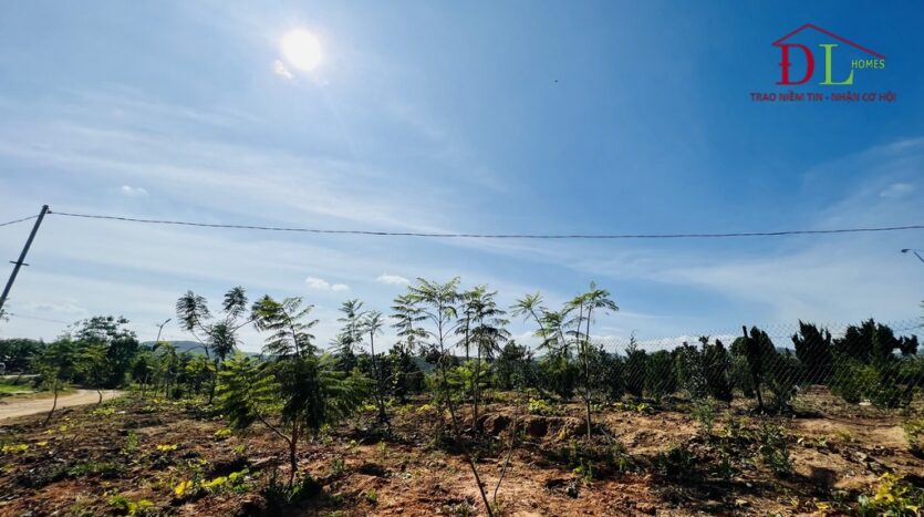 Bán đất mặt tiền Tà Nung Đà Lạt 1310m2 hợp đầu tư trang trại