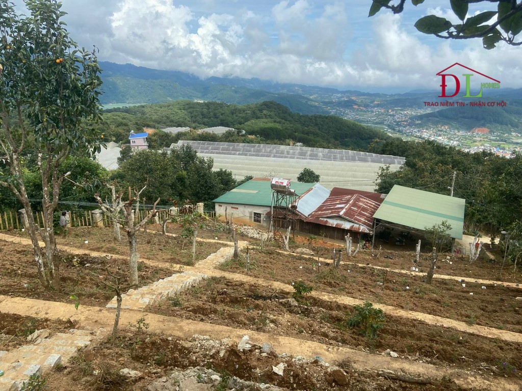 Bán đất Trạm Hành Cầu Đất 1277m2 view thung lũng đắt giá