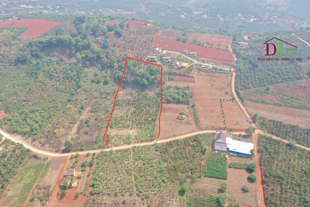 Bán đất thị trấn Nam Ban Lâm Hà 5919m2 đầu tư lâu dài