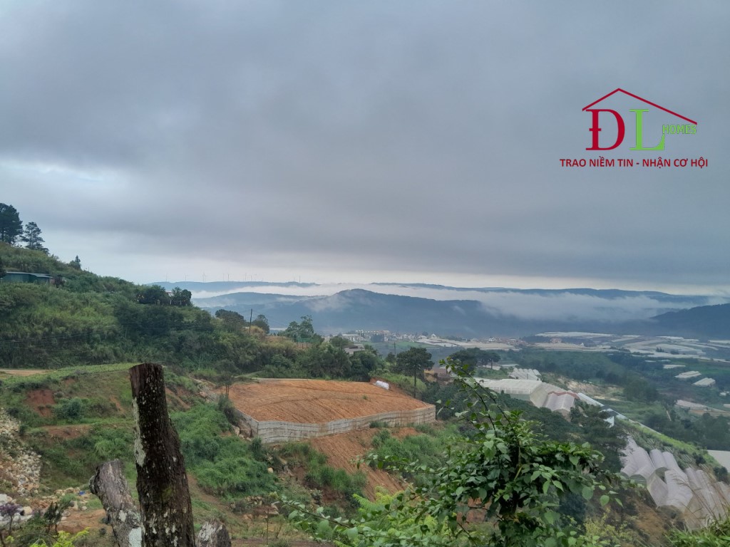 Cho thuê đất Tự Phước P11 Đà Lạt 6800m2 view thung lũng