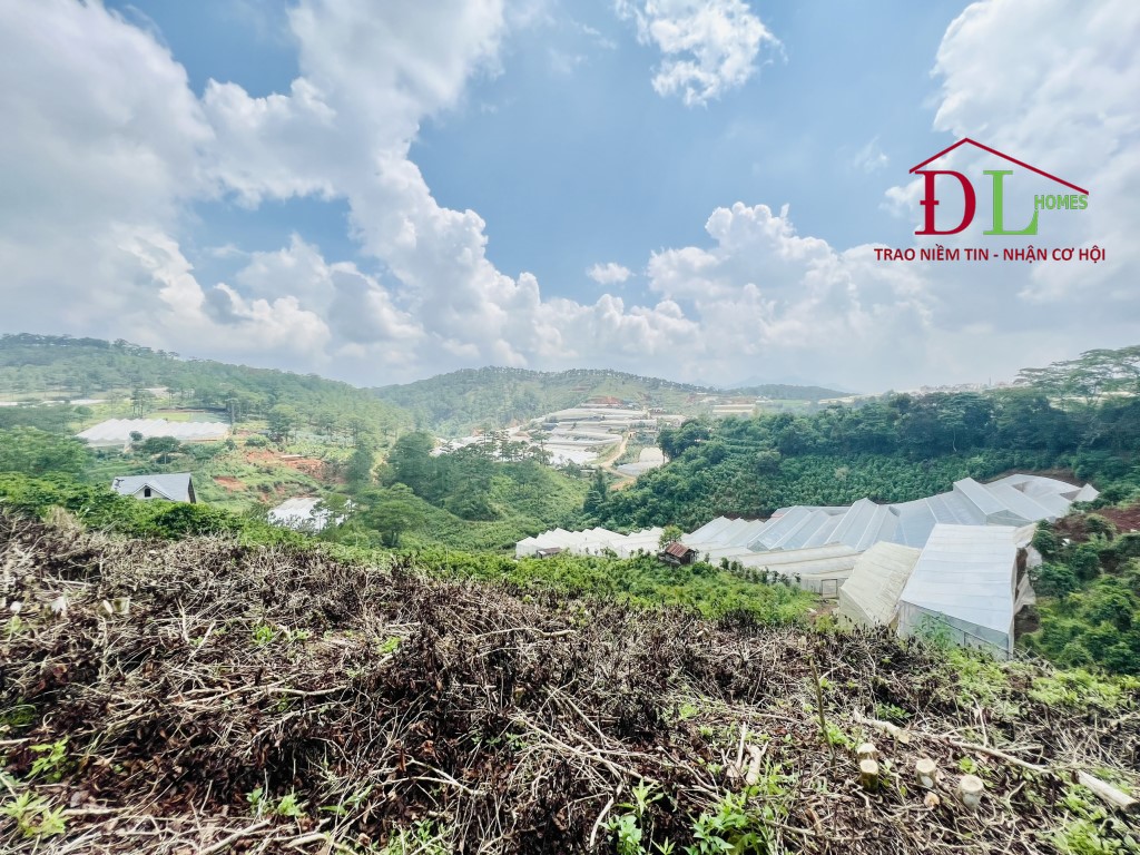 HẠ GIÁ Bán đất mặt tiền Măng Lin P7 Đà Lạt view vĩnh viễn không che