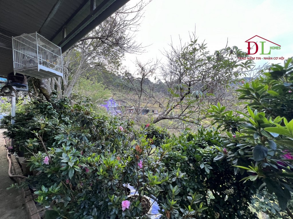 Bán đất Đống Đa Phường 3 Đà Lạt thích hợp nghỉ dưỡng