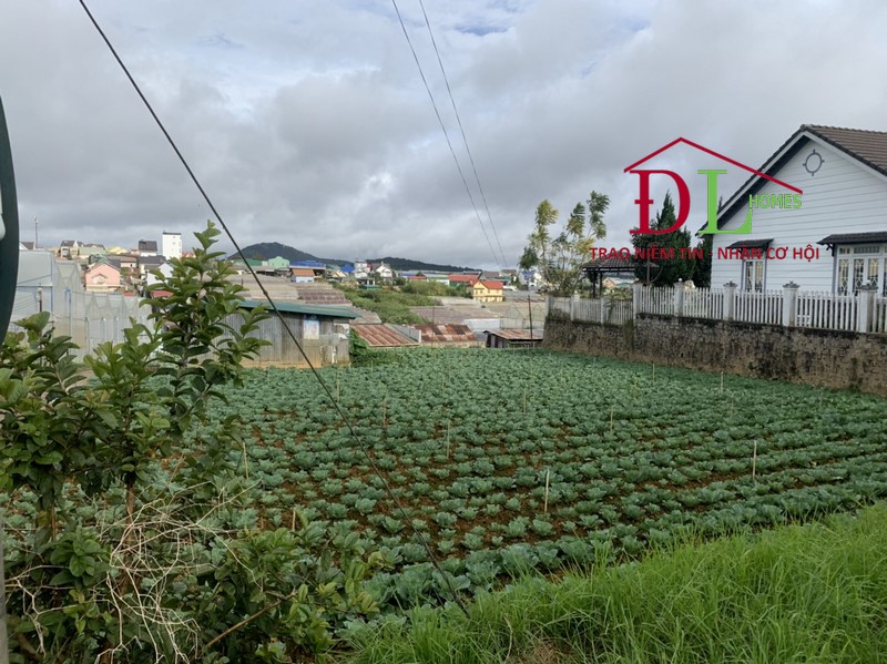 Bán đất mặt tiền đường Ngô Tất Tố phường 8 Đà Lạt hợp đầu tư