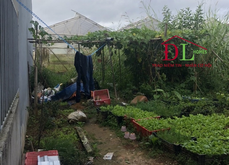 Bán đất Lữ Gia Phường 9 Đà Lạt gần trung tâm tiện an cư