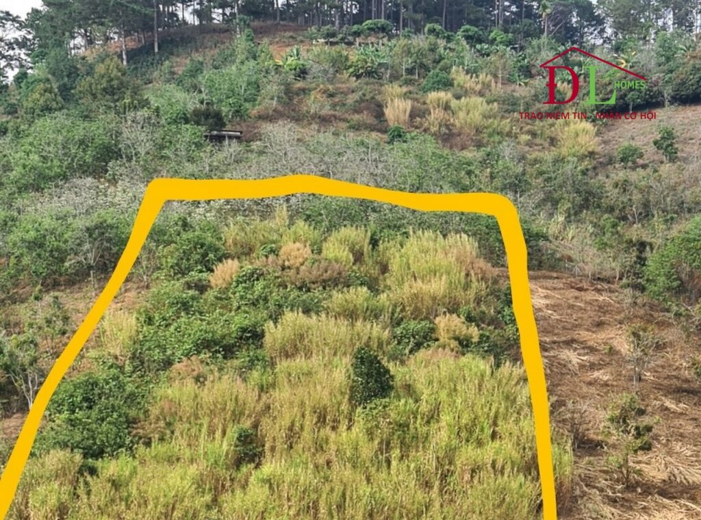 Bán lô đất đường Mimosa phường 10 Đà Lạt hợp đầu tư lâu dài